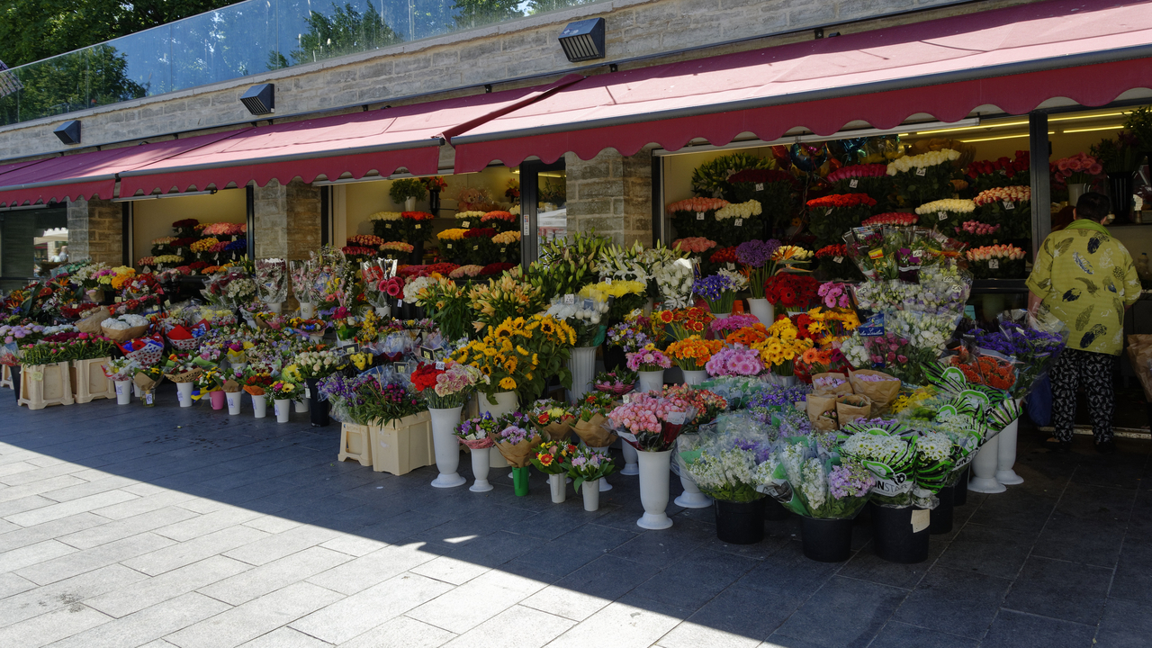 20180614 112157 , Tallinn, Harjumaa, Estonia